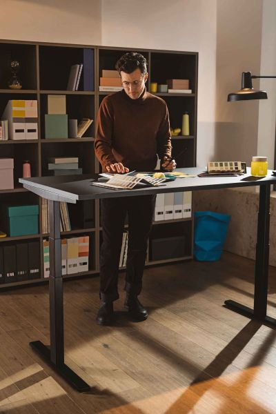 Flux e2 sitz steh arbeitstisch arbeiten gesund neudoerfler