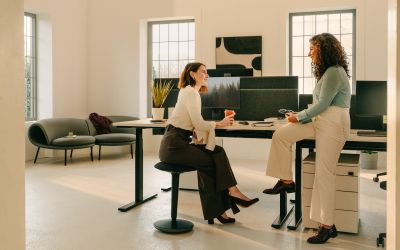 Flux E2 Arbeitstisch Büro Rollconatiner Raumsituation neudoerfler