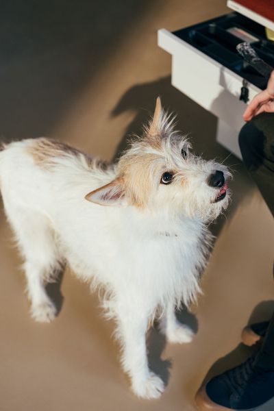 Motion Container Rollcontainer Stauraum Bueromoebel Buerohund Neudoerfler