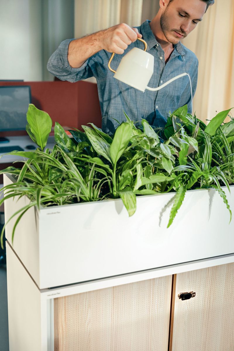 Motion Pflanzwanne Stauraum Schrankaufsatz Gruen Buero Neudoerfler