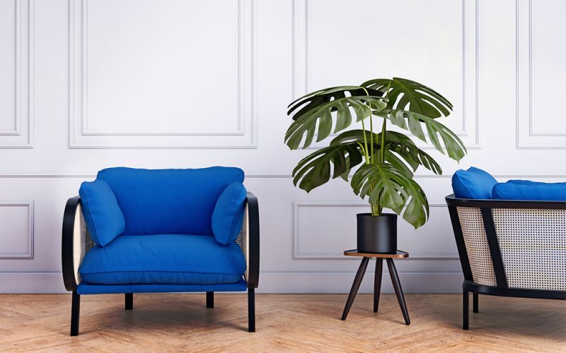 Buzzispace buzzicane loungemoebel bueromoebel einrichtung neudoerfler