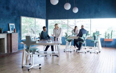 Hag Capisco Drehstuhl Ergonomisch Sattelstuhl Bueromoebel Neudoerfler