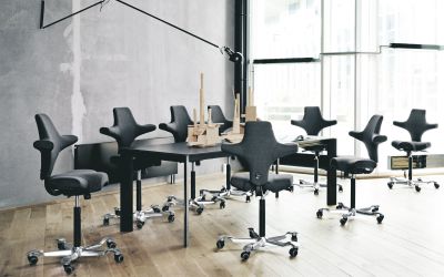 Hag Capisco Sattelstuhl Buerostuhl Ergonomie Neudoerfler