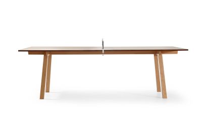 Ping Tischtennis Holztisch Besprechung Lande Neudoerfler