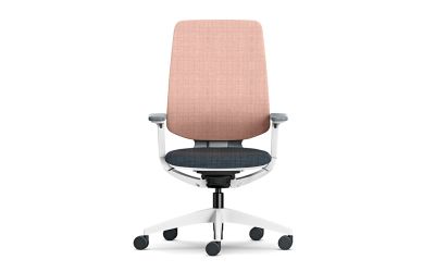 Sedus Seflex Buerodrehstuhl Polsterruecken Neudoerfler