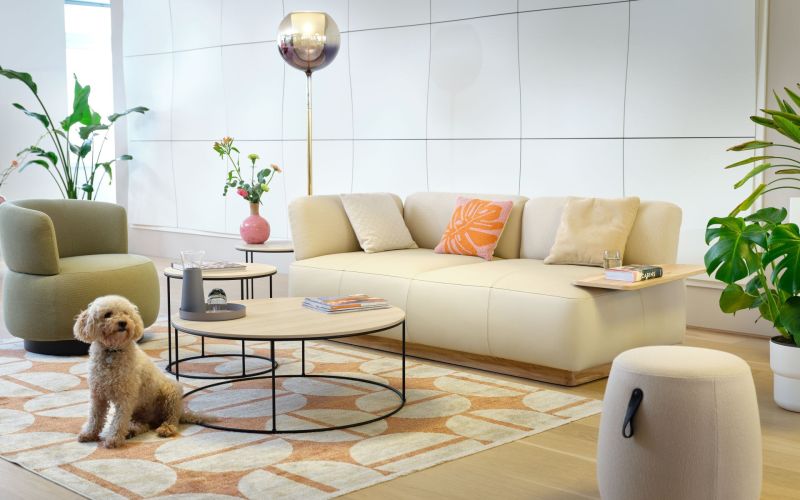 Sedus seliving sofa couch lounge neudoerfler