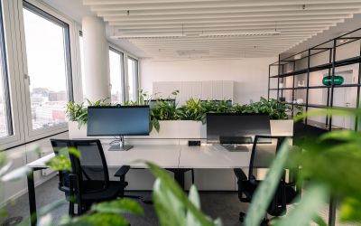 Gewista new work gruenes buero neudoerfler