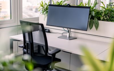 Gewista pflanzen buero schreibtisch neudoerfler