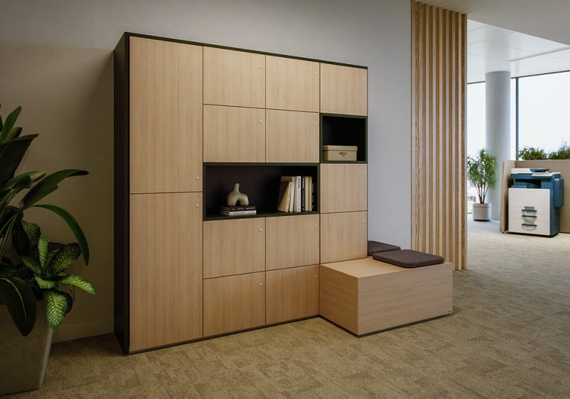 Essential lock m wood locker schrank aufbewahrung verschließbar neudoerfler officebox